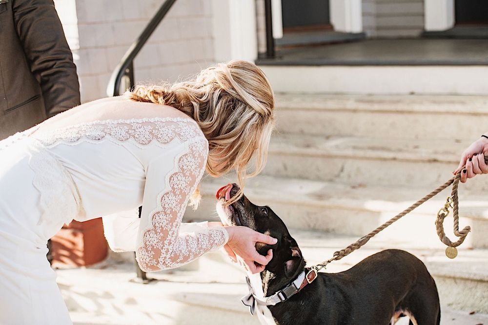 dog licking the face of a bride