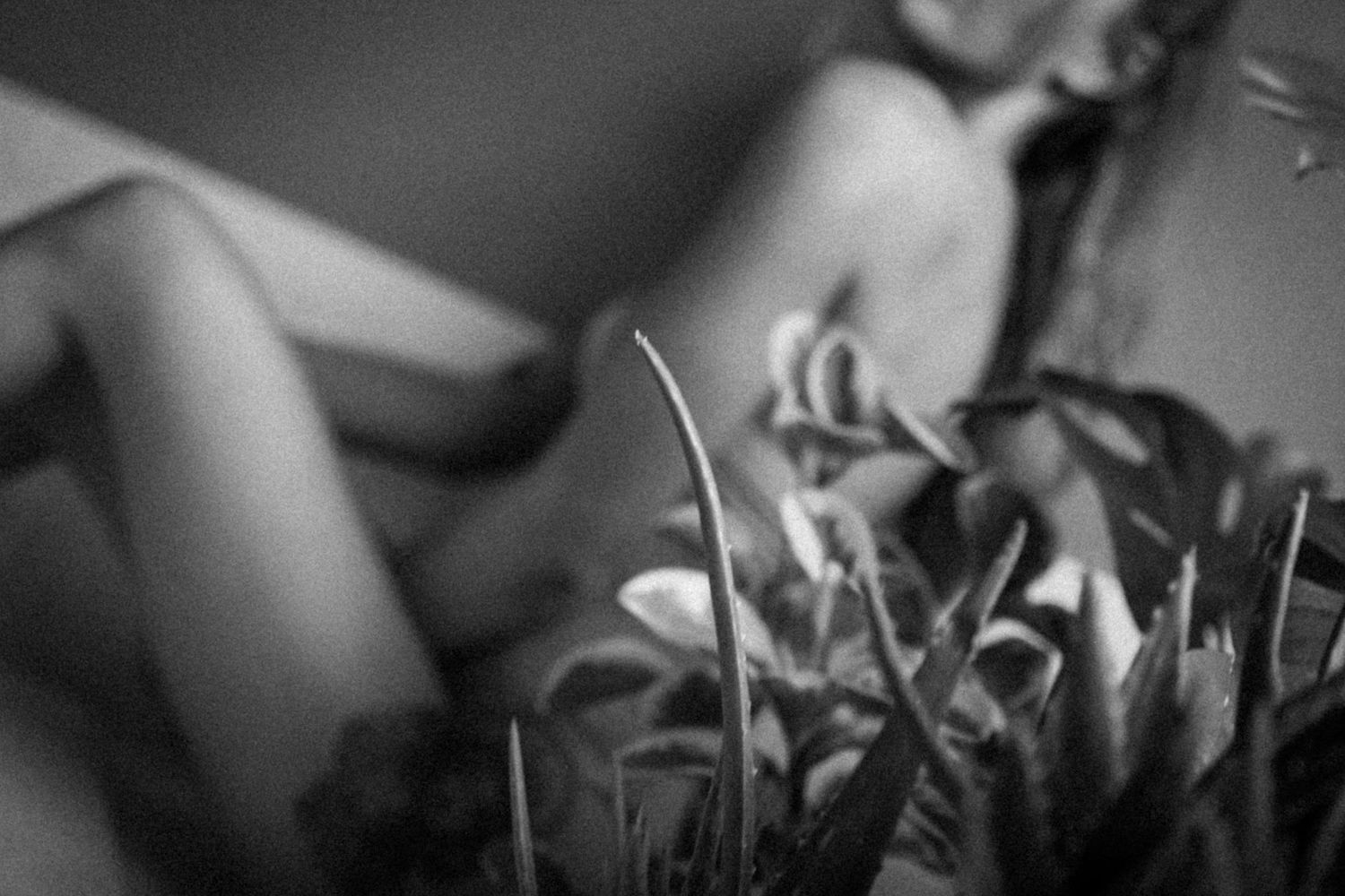 Artistic black and white photograph showing soft focus and floral elements.