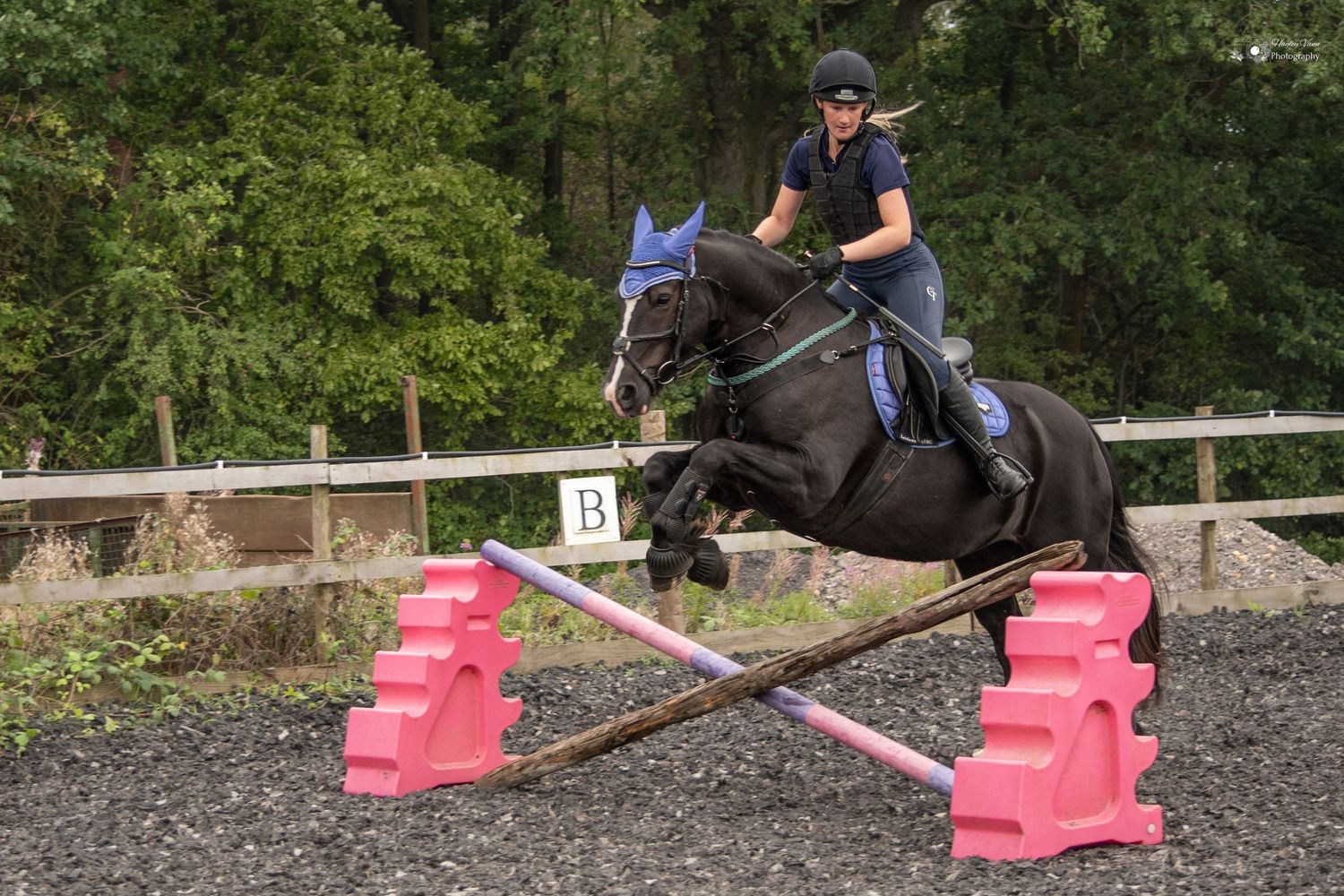 Equine Showjumping
