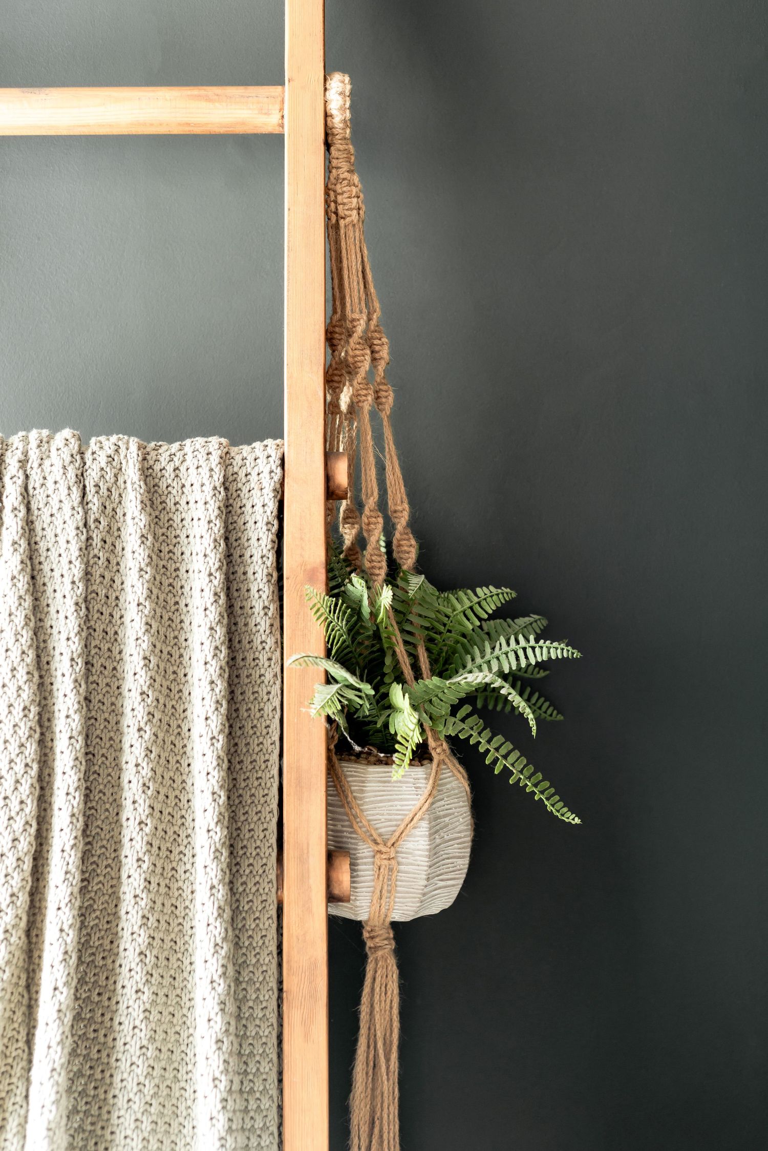 Plany hanging off a decorative ladder with a blanket over one of the steps. Interiors, stylish, moody
