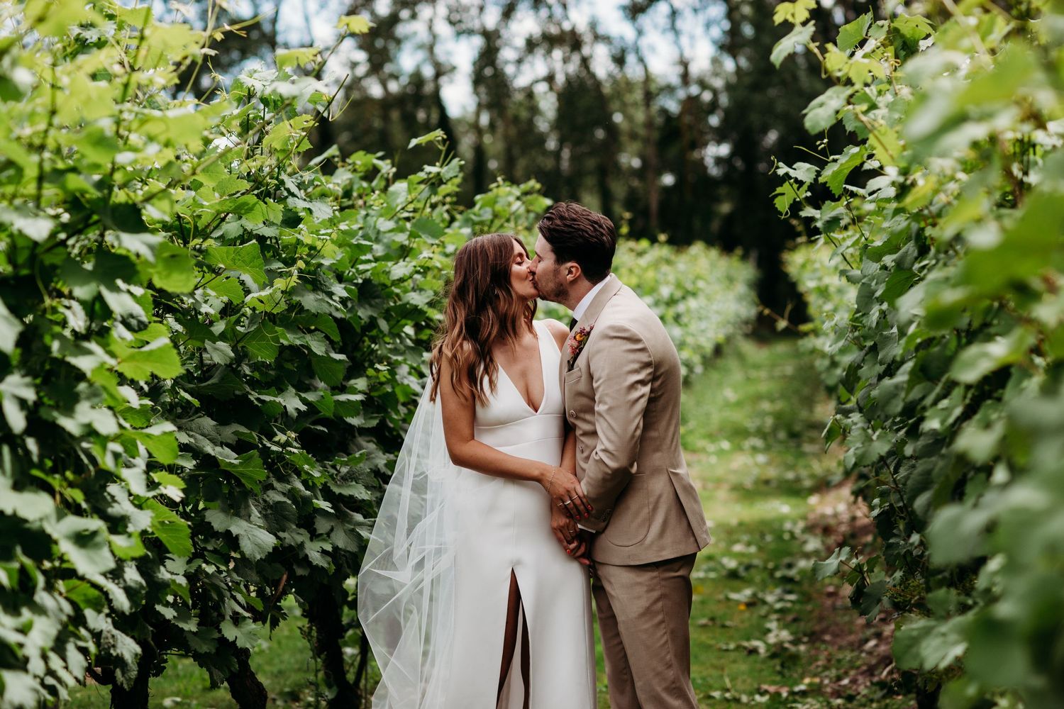 Romantic moment between newlyweds in vineyard with flowing white dress and tan suit.