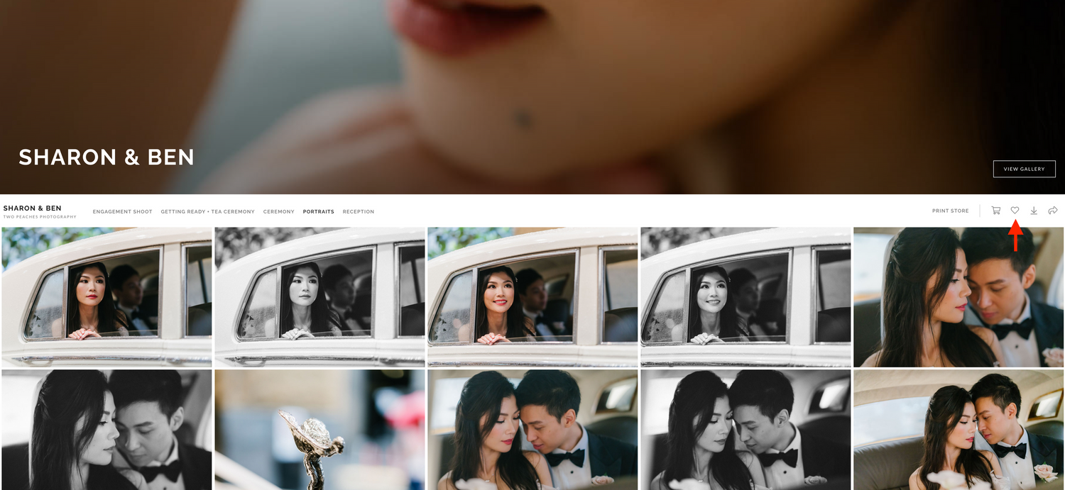 Sydney Wedding Photographer - Queensberry Wedding Album
