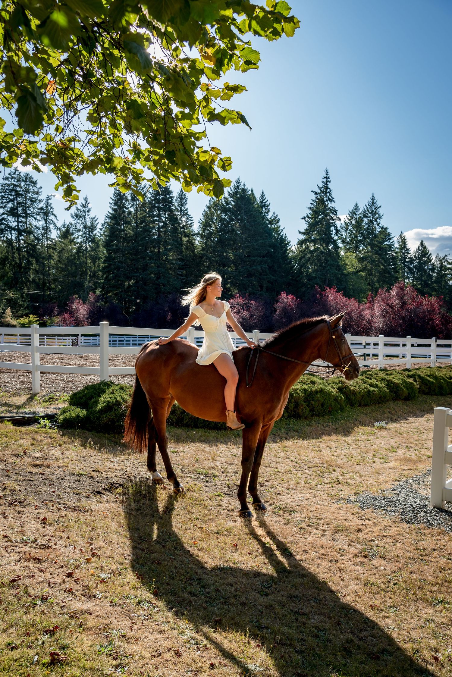Young blonde woman in a white sundress sits on top of a brown horse at The Meadows on Salt Spring Island, BC