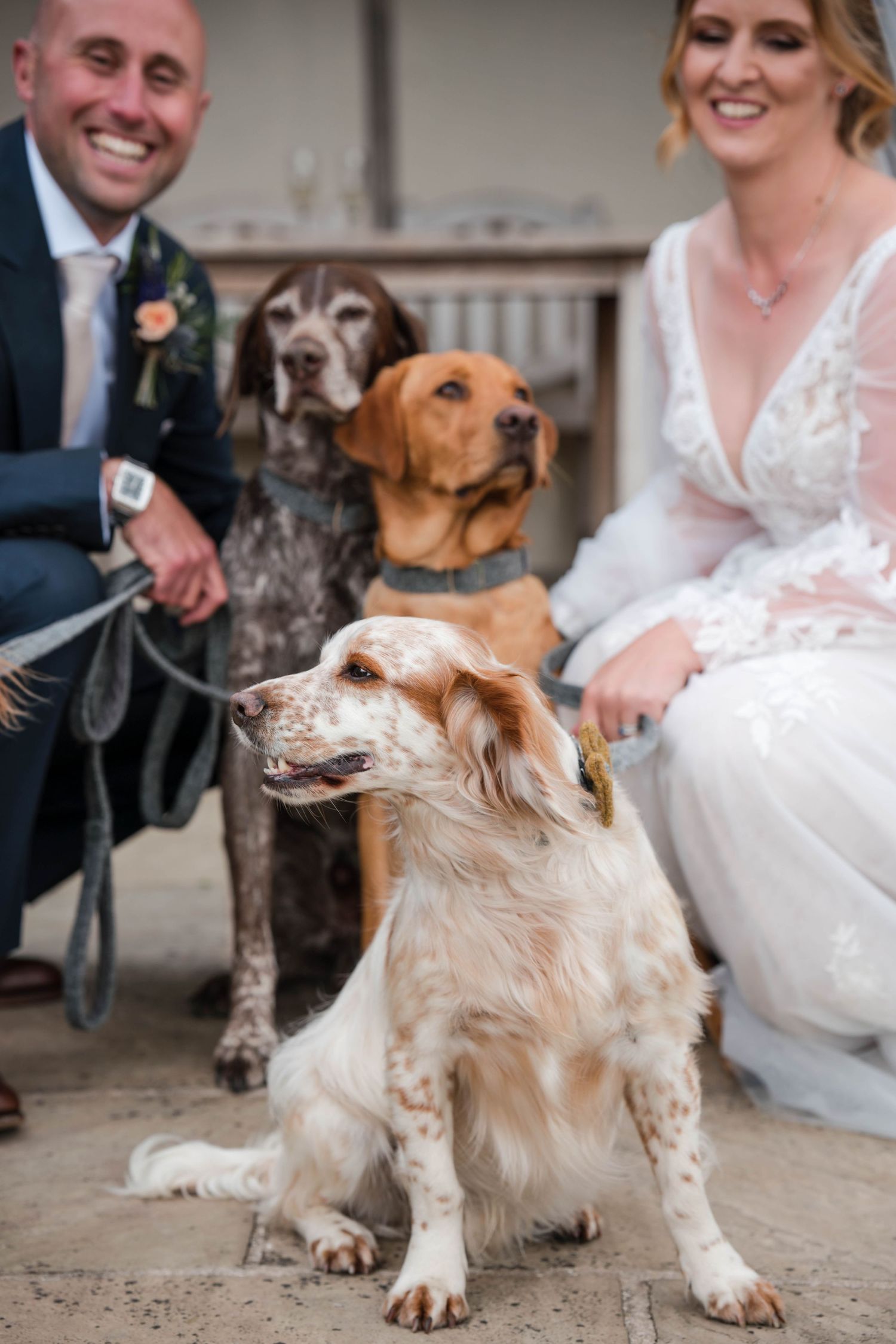 Zara Davis Photography Dogs at Weddings Kingscote Barn Cheltenham Stroud Gloucestershire Cotswolds