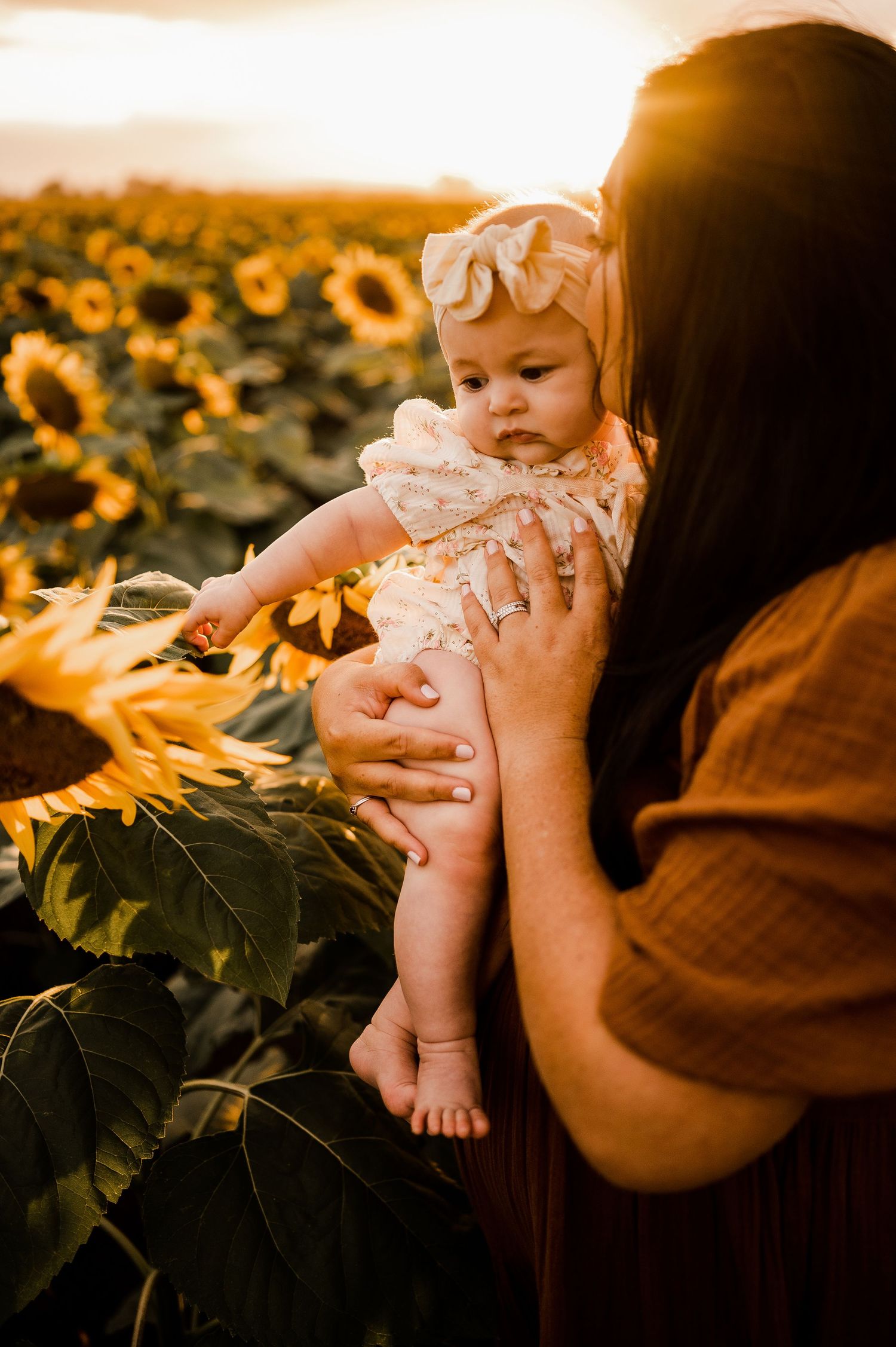 casino sunflowers family photographer