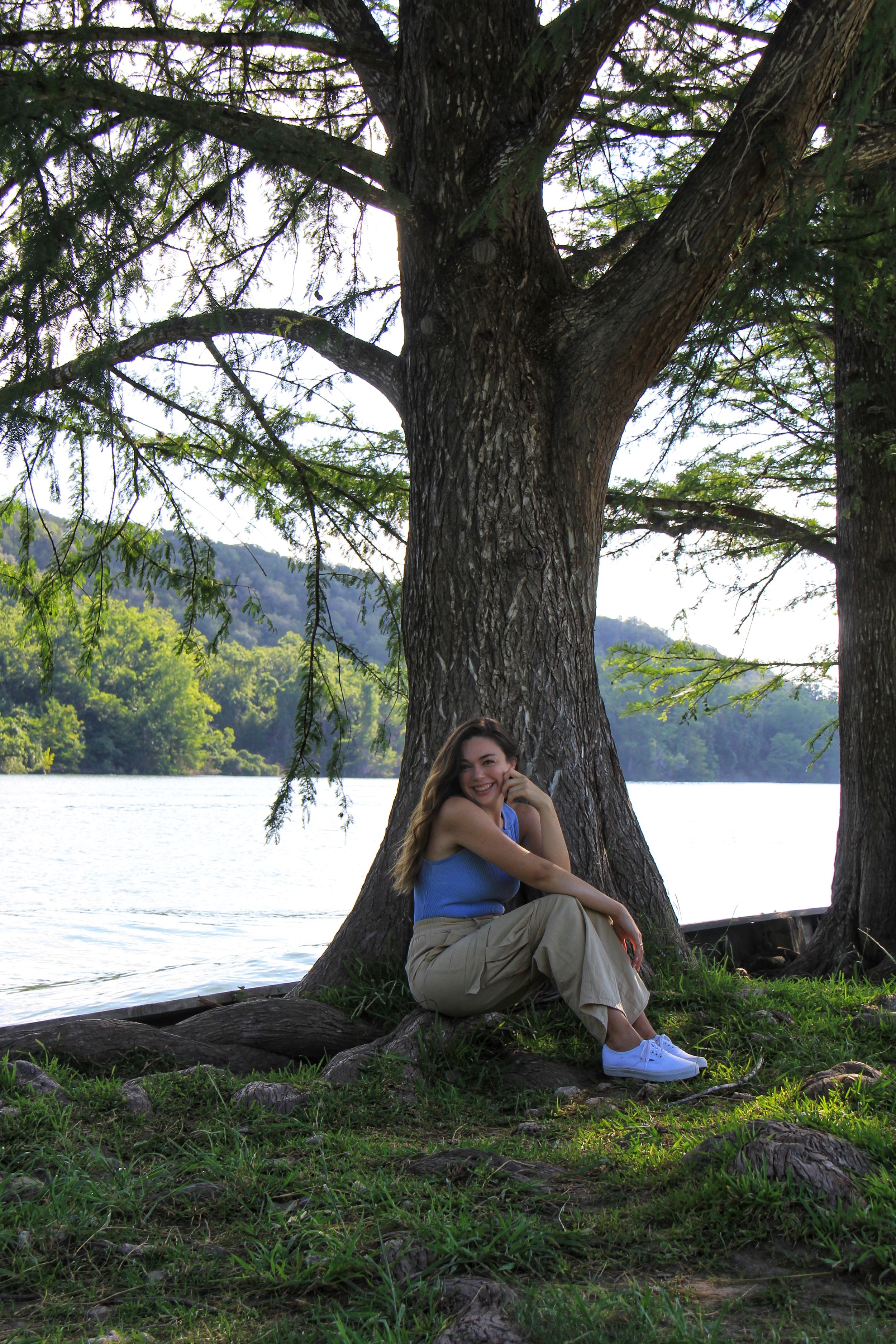A tranquil lakeside scene with a large tree and someone sitting beneath it on a sunny day.