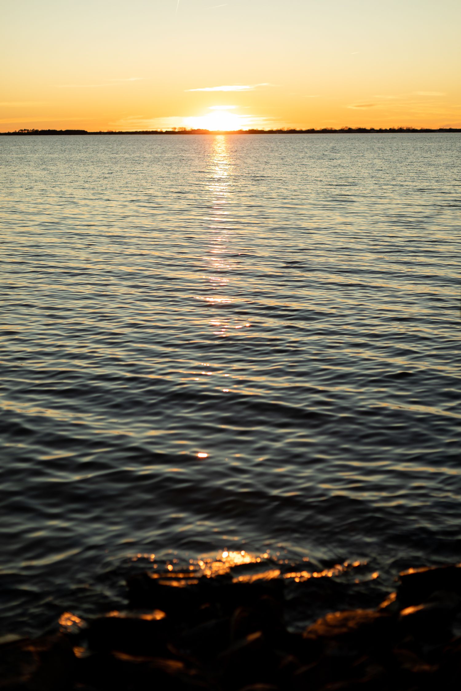 Golden sunset reflecting across rippling water surface.