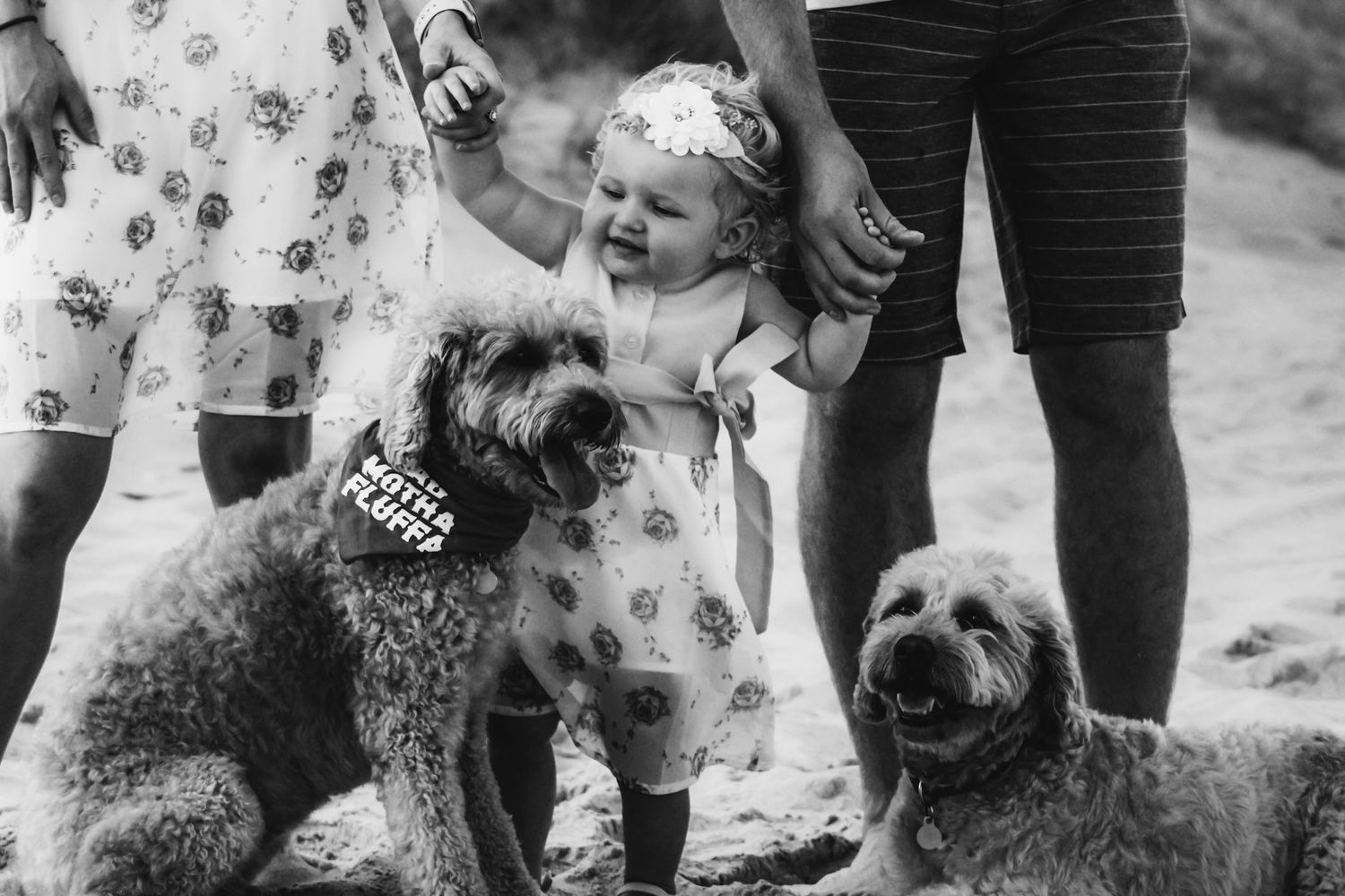 Family pictures