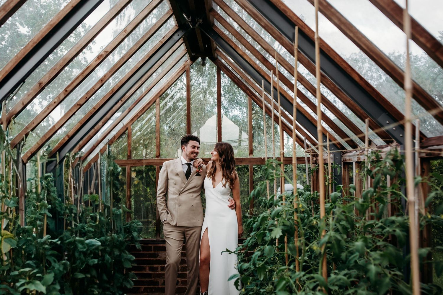 Wedding couple standing in vintage greenhouse surrounded by climbing plants and wooden beams.