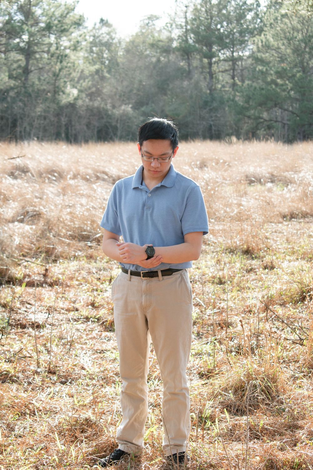 Person in blue polo and khaki pants checks phone while standing in sunny field with pine trees.