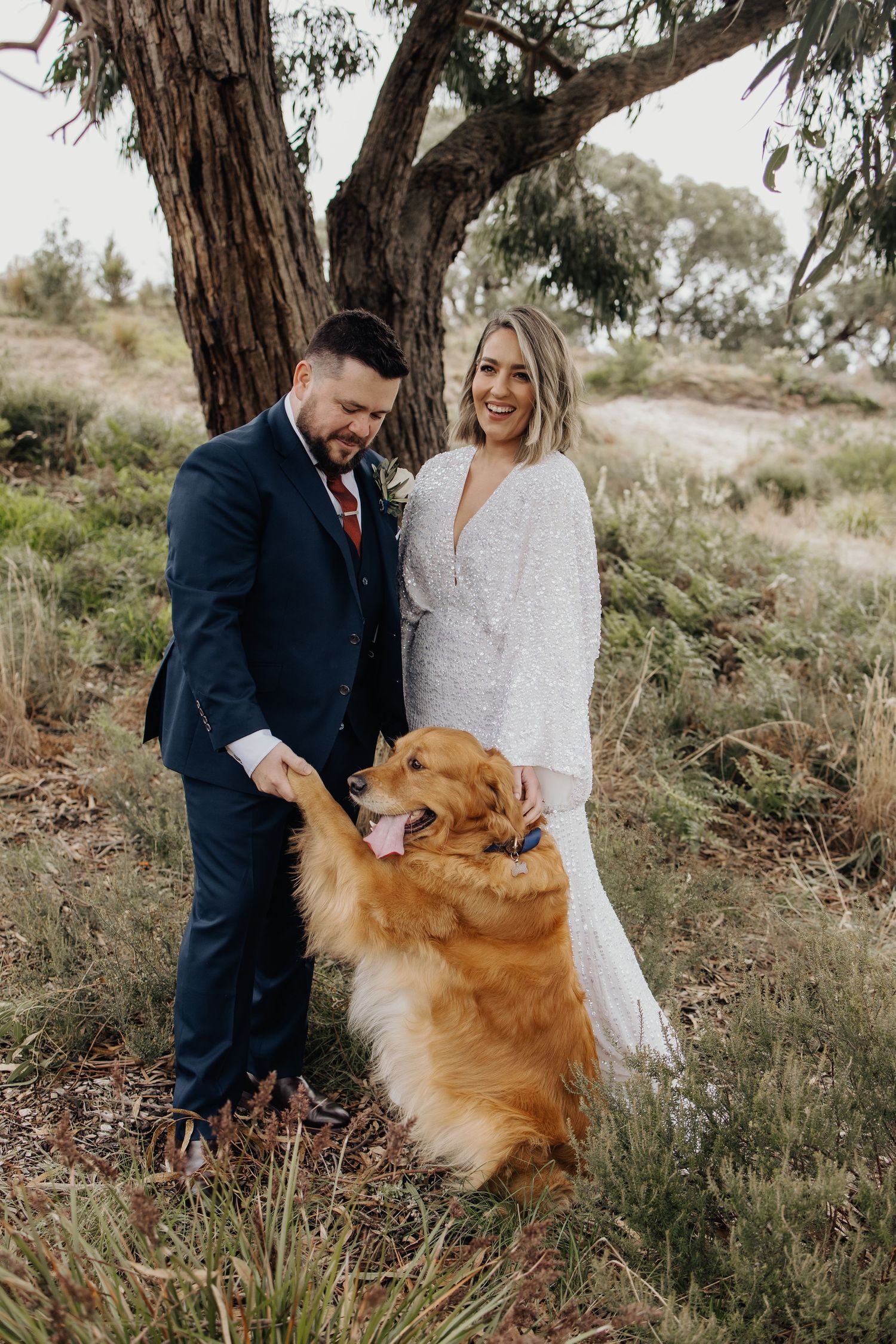 Couple in formal attire petting golden retriever dog during outdoor photo session.
