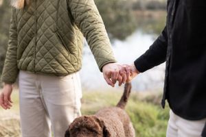 Close-up of a couple holding hands while walking their chocolate Labrador near a peaceful lake.