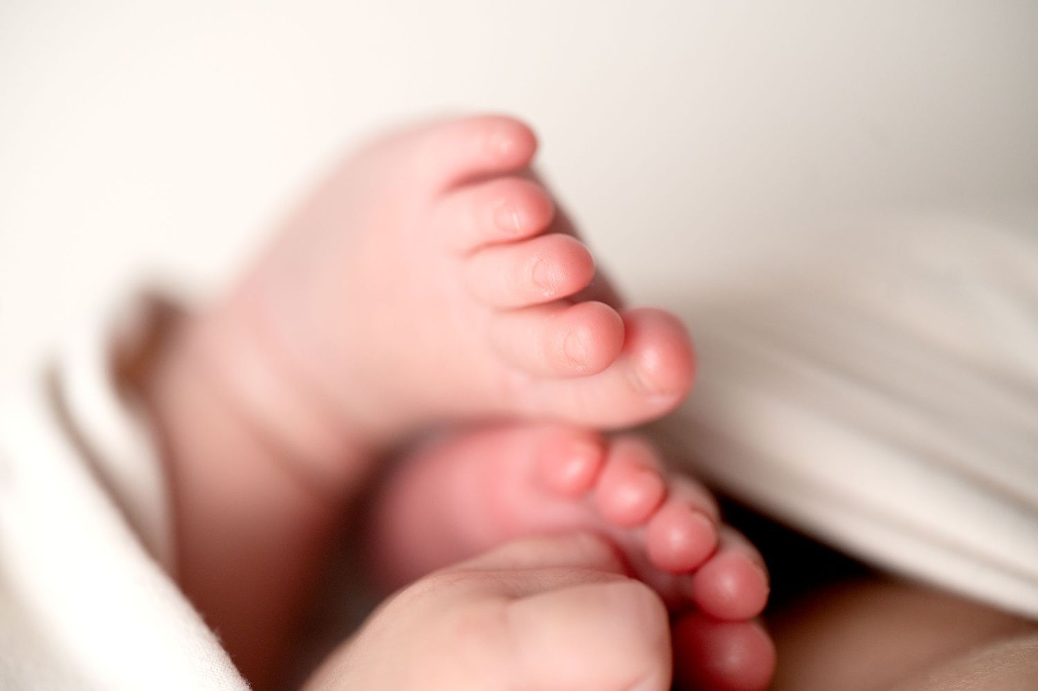 Close up of newborn baby feet with soft focus effect.
