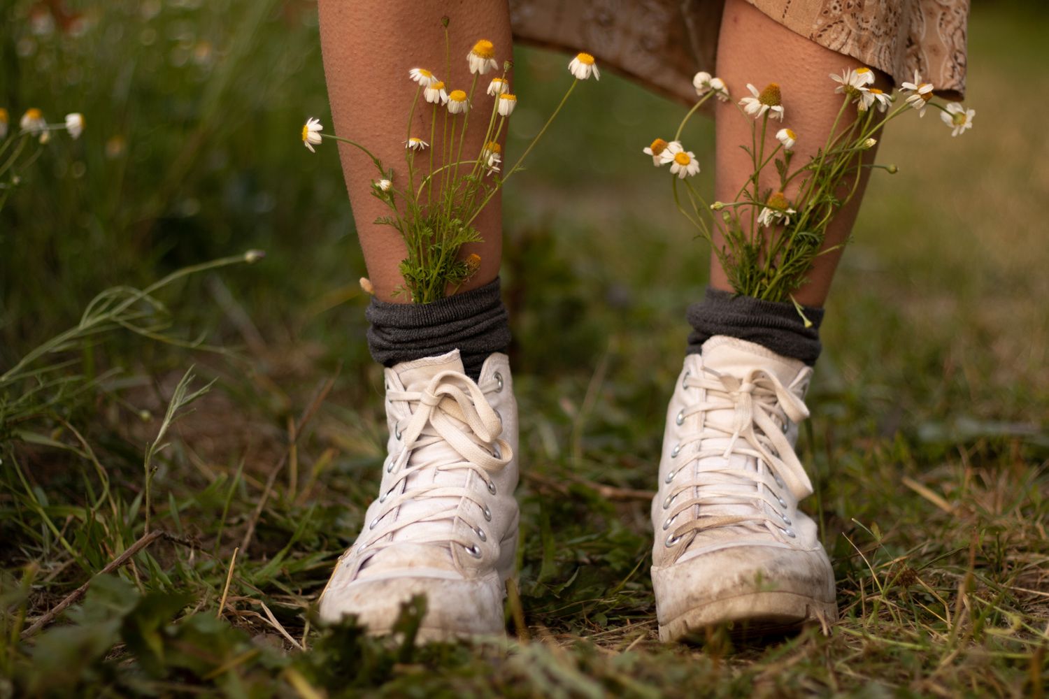 White sneakers surrounded by delicate wildflowers and grass in a natural outdoor setting.