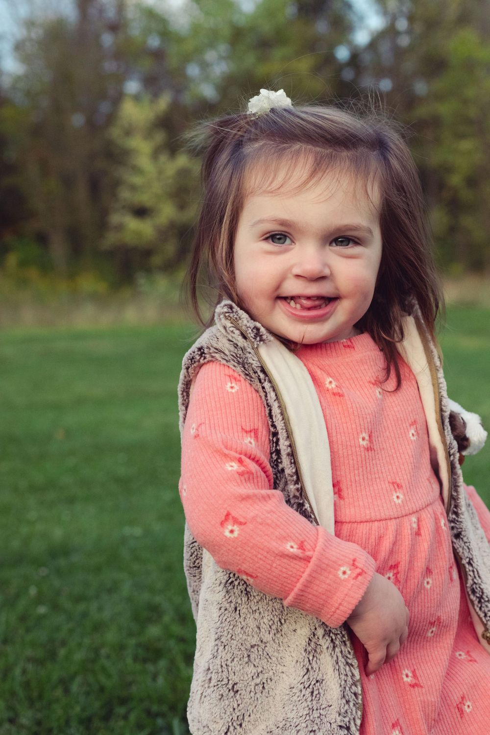 Sweet toddler girl in a field taken by Abby Gleason Photography