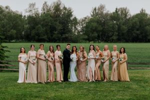 Large wedding party with bridesmaids wearing champagne colored dresses posing together in a lush green field.