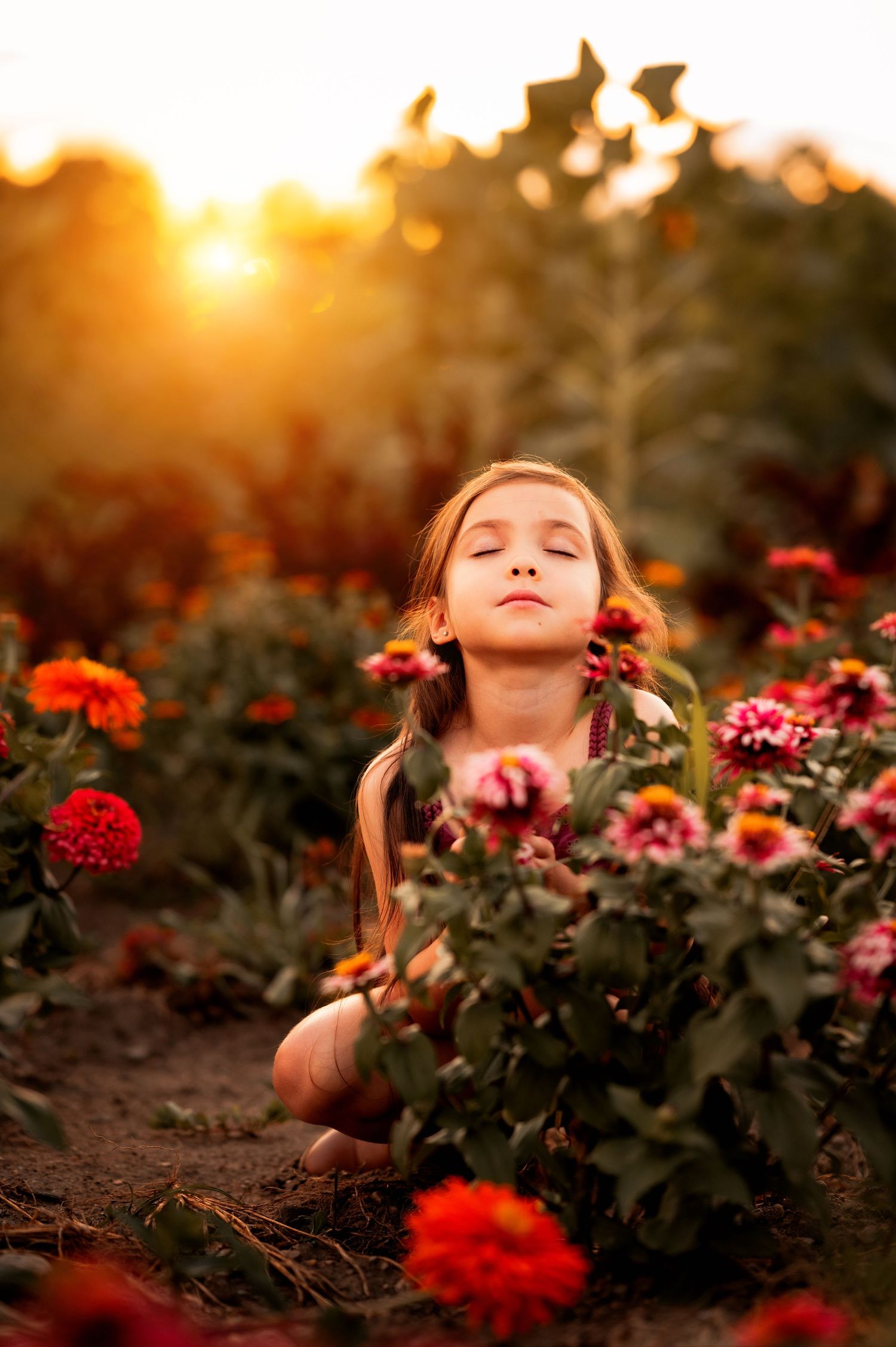 Person enjoying sunset in a garden of vibrant red and pink flowers during golden hour.