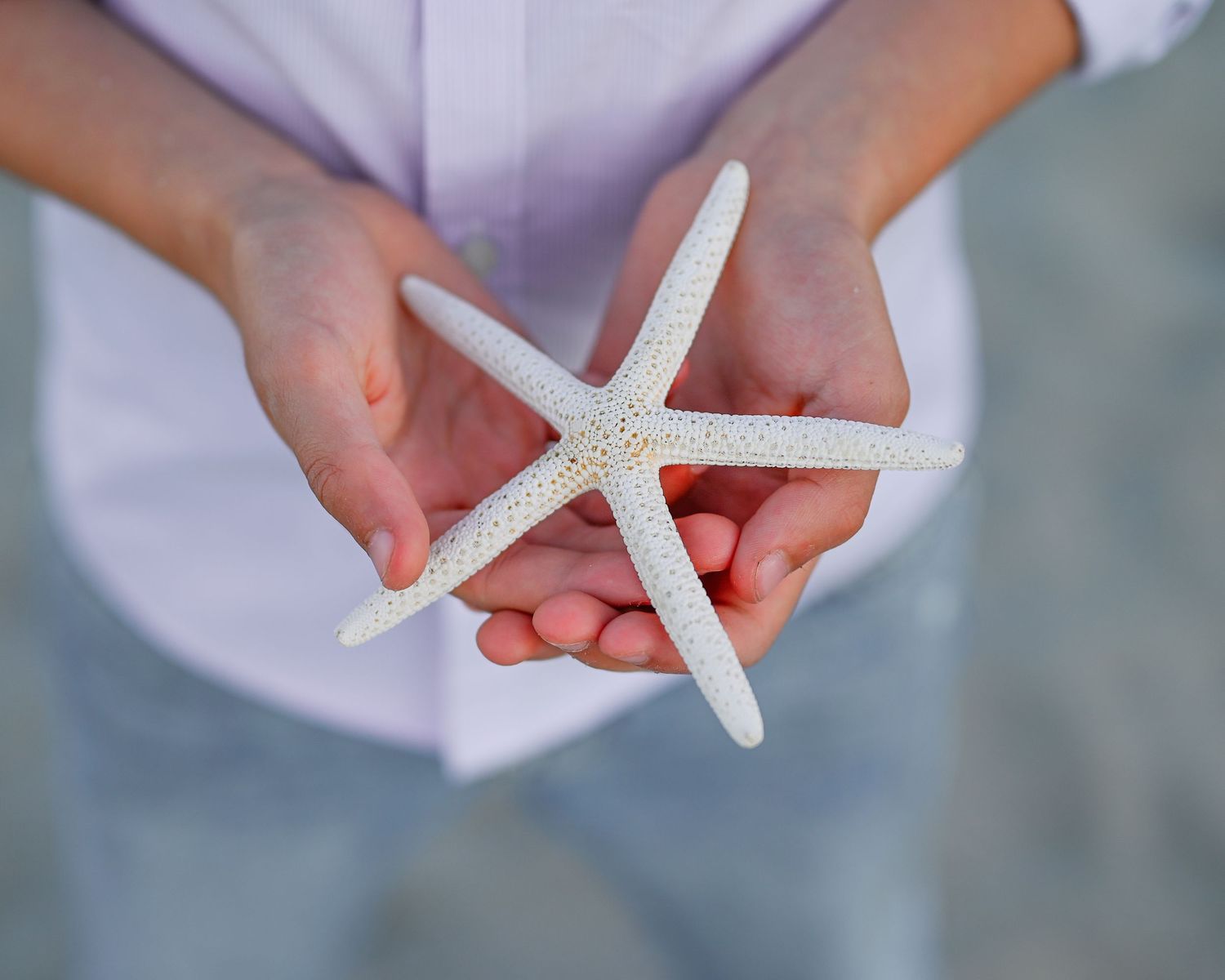 Photoshoot of a little boys hands holding a starfish.