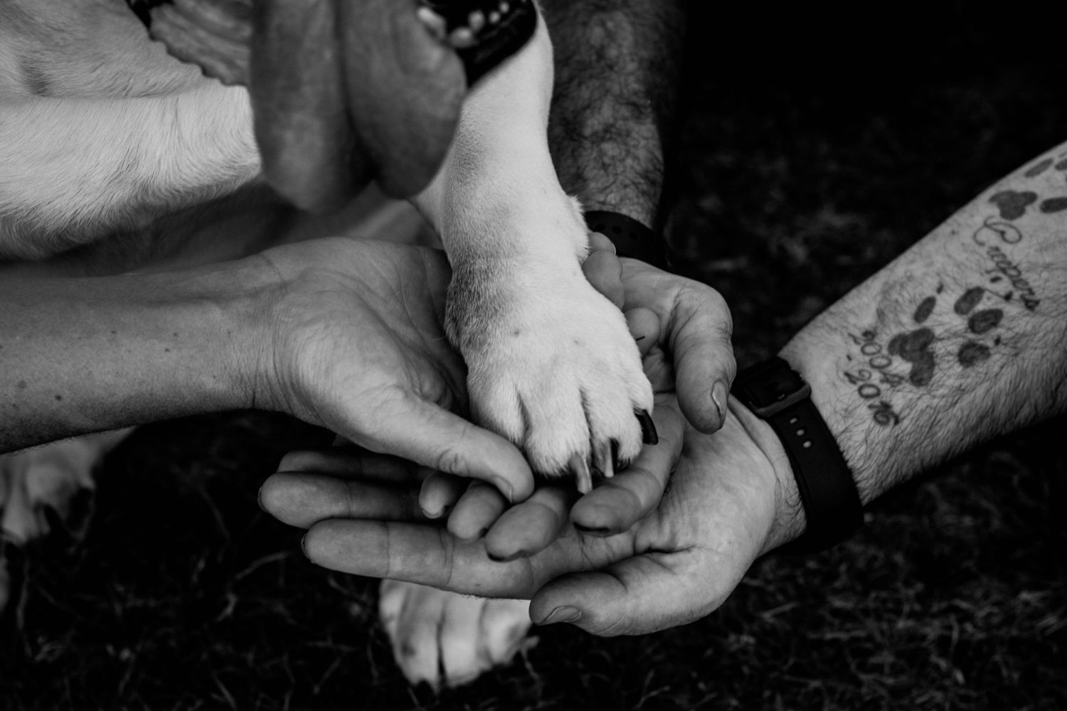Black and white image of hands holding dog's paw in tender moment.