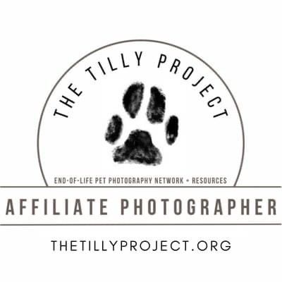 End of Life Pet Photos