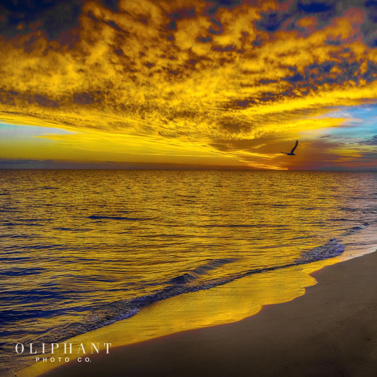 "Morning Reflection" by Oliphant Photo Co.