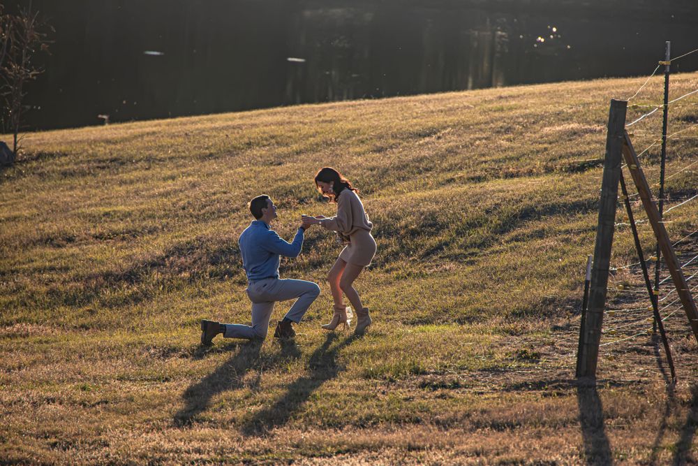 surprise sunset proposal
