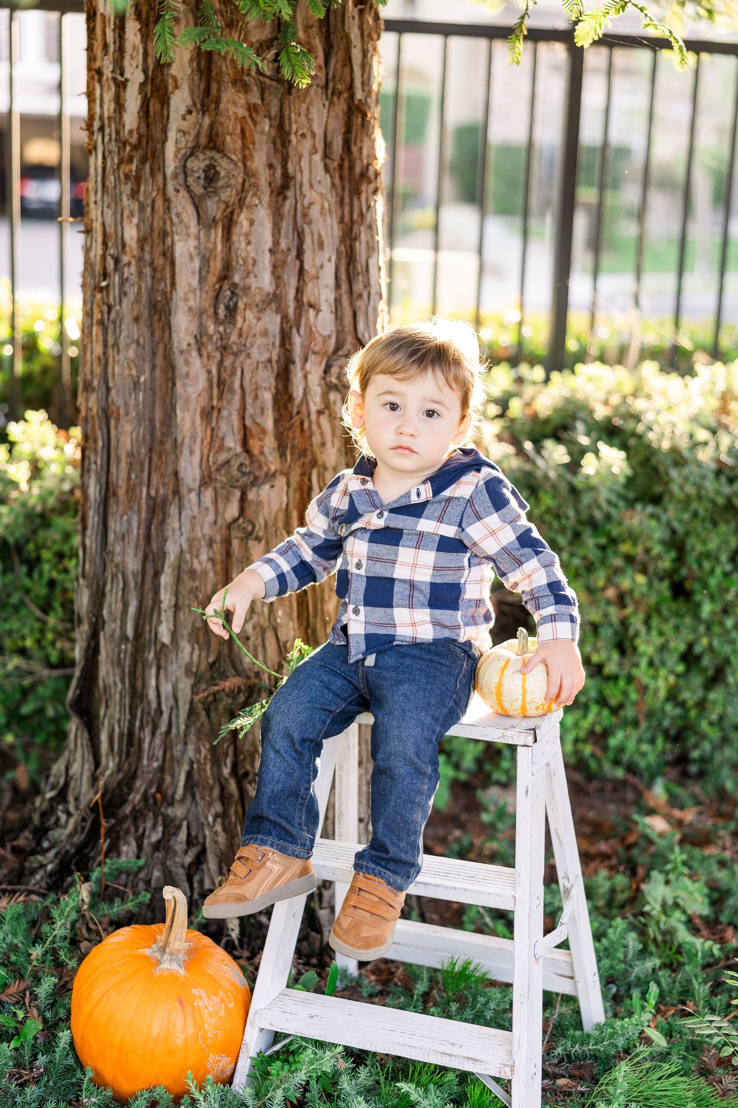 A young child sits on a white ladder next to pumpkins with a textured tree trunk backdrop.