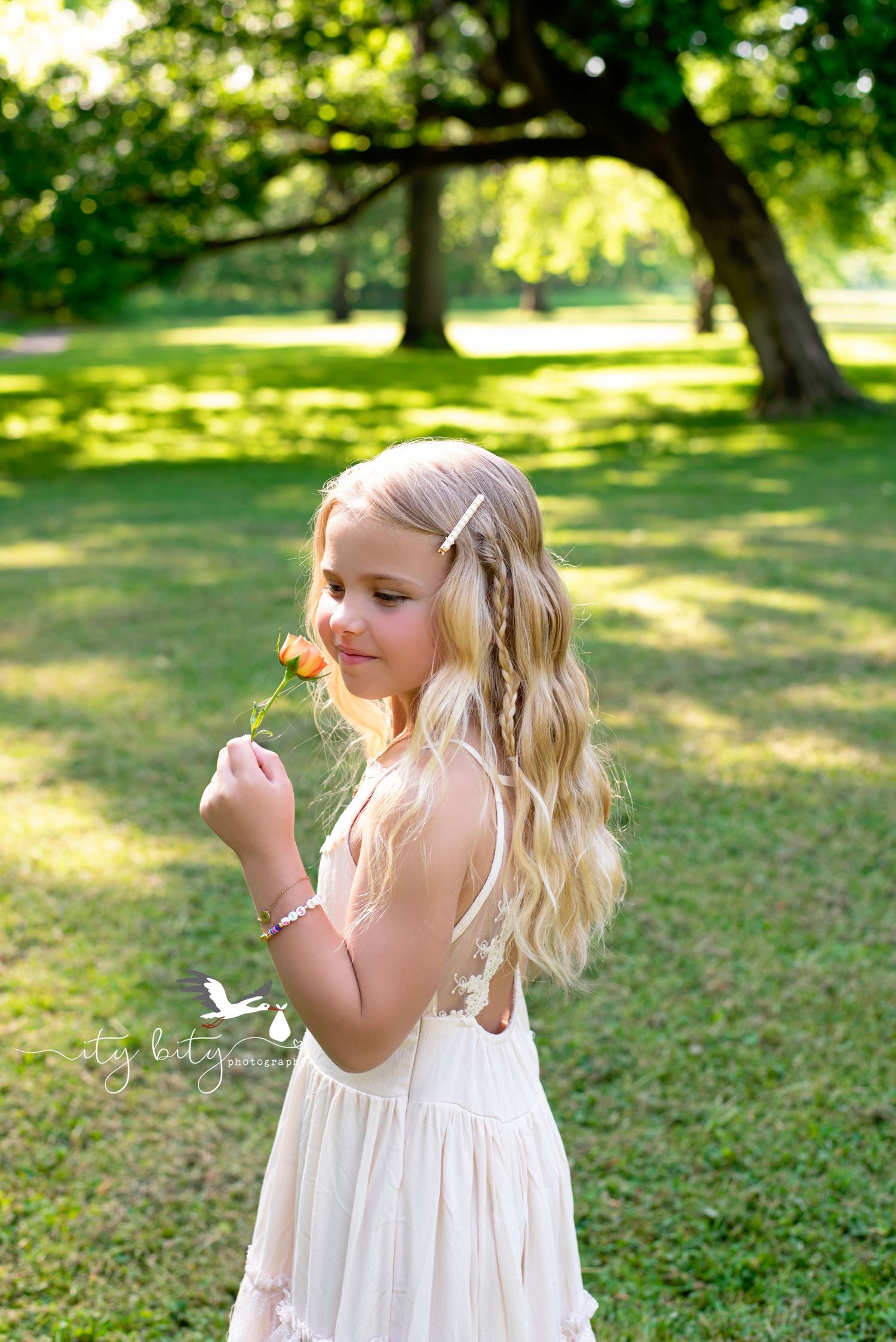 Ity Bity Photography Cleveland - Avon Ohio Family Mini Session Photographer