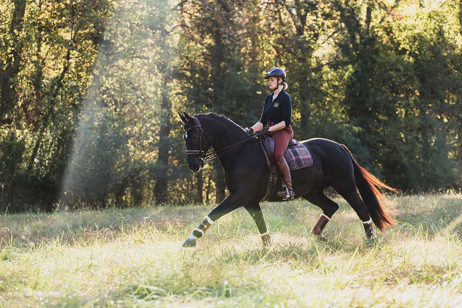 A rider in a helmet guides a black horse through a sunlit forest meadow during an equestrian trail ride.