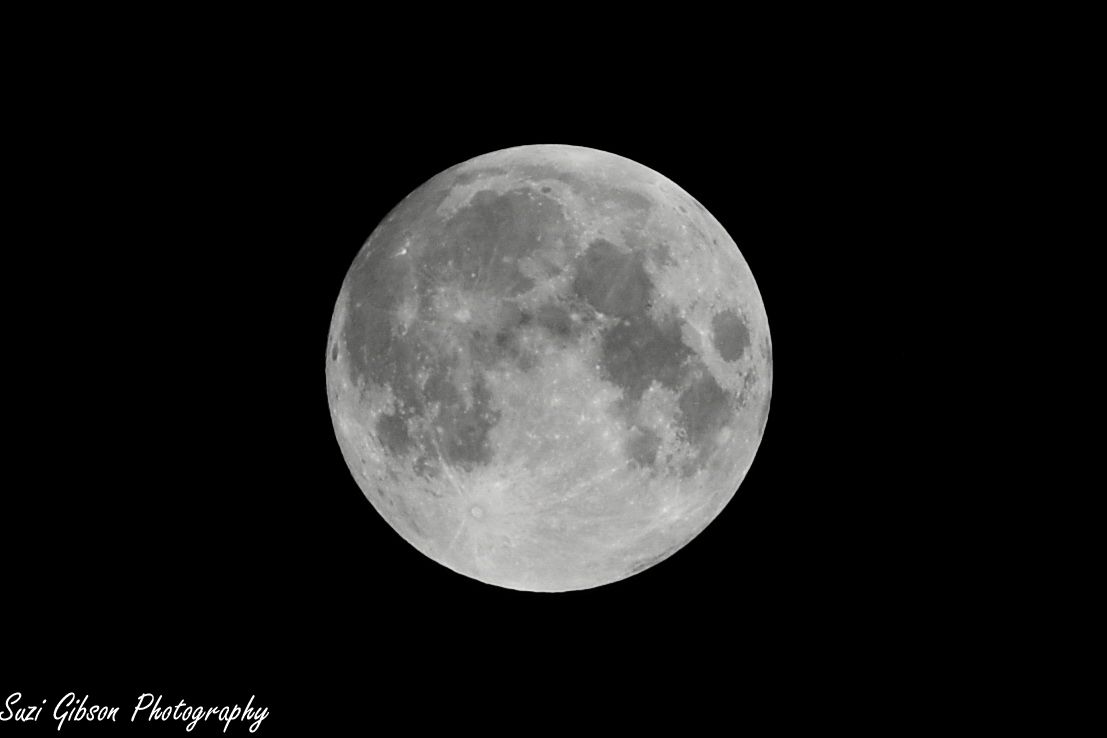 full moon game action photo coverage maryland dmv suzi gibson photography