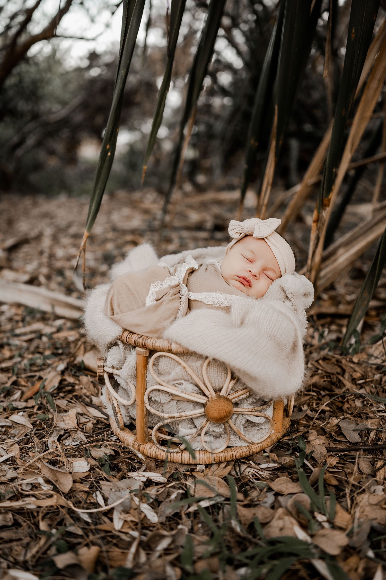 ballina newborn photographer