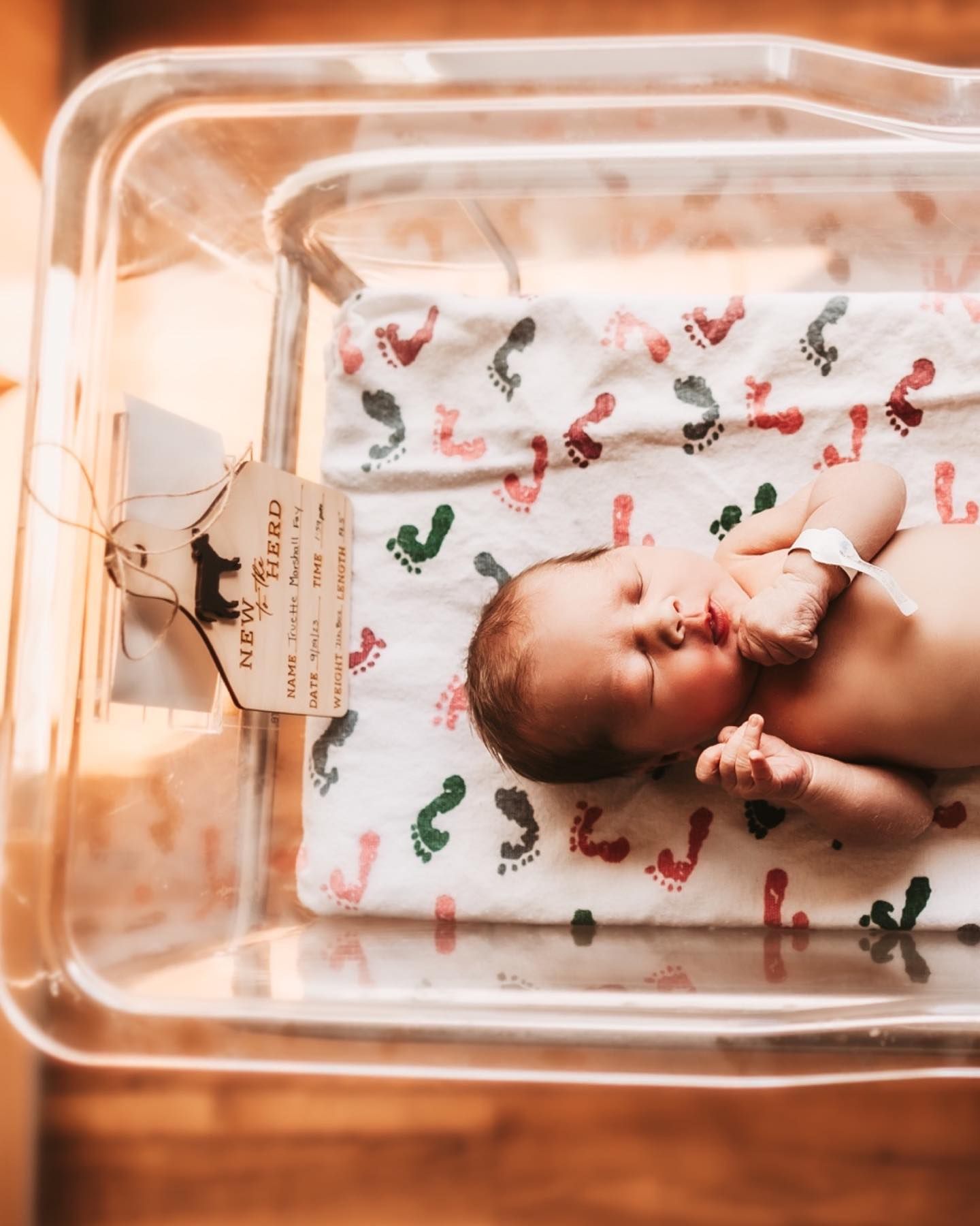 Michigan Based - Motherhood and maternity photographer.