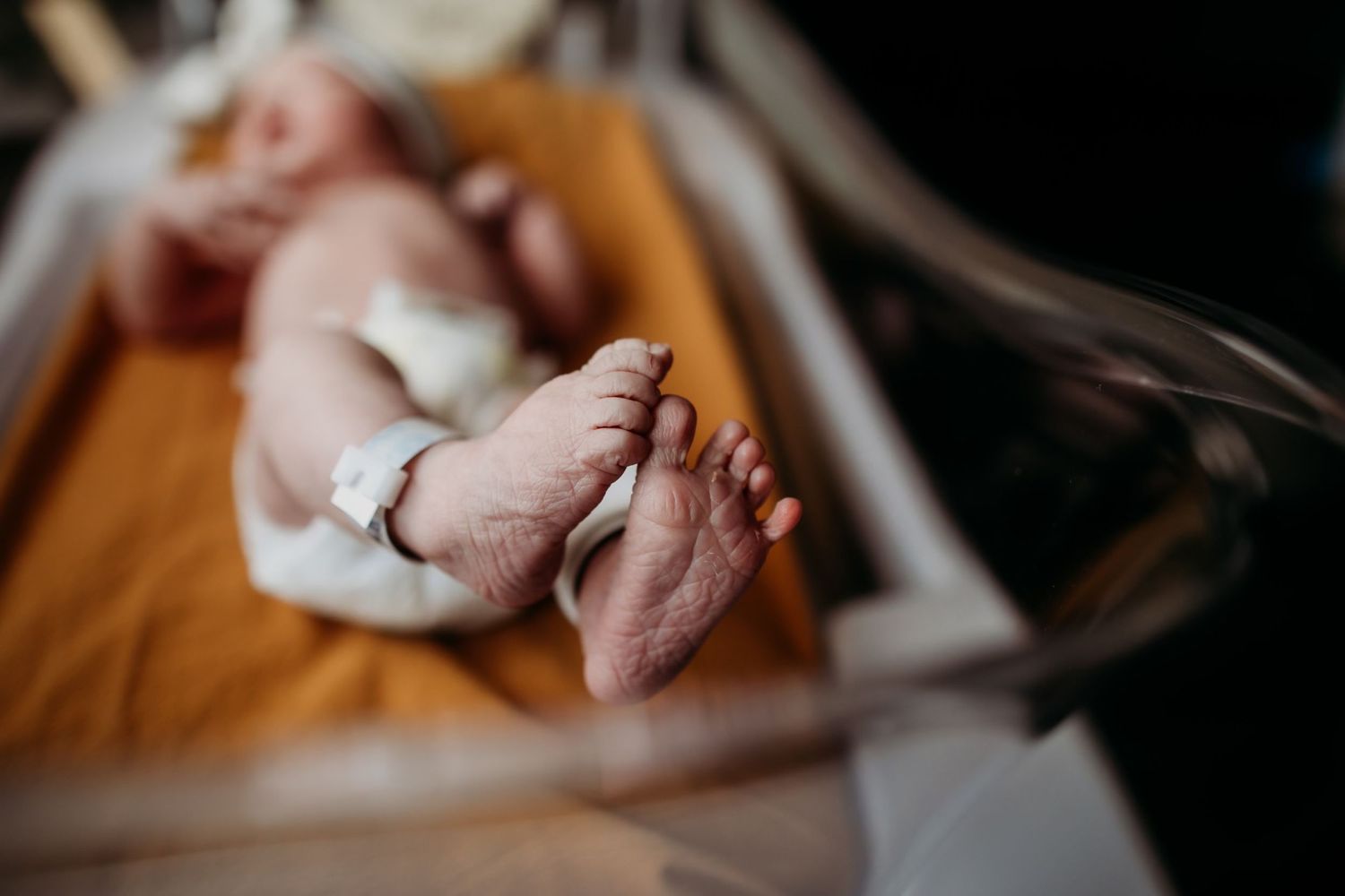 Michigan Based - Motherhood and maternity photographer.