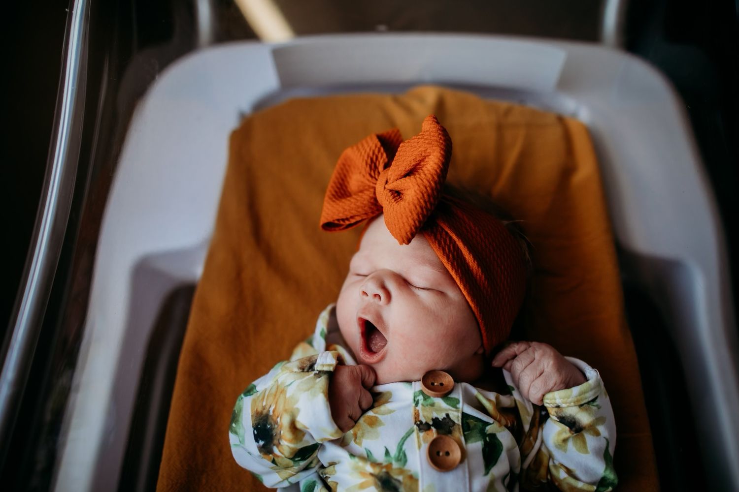 Michigan Based - Motherhood and maternity photographer.