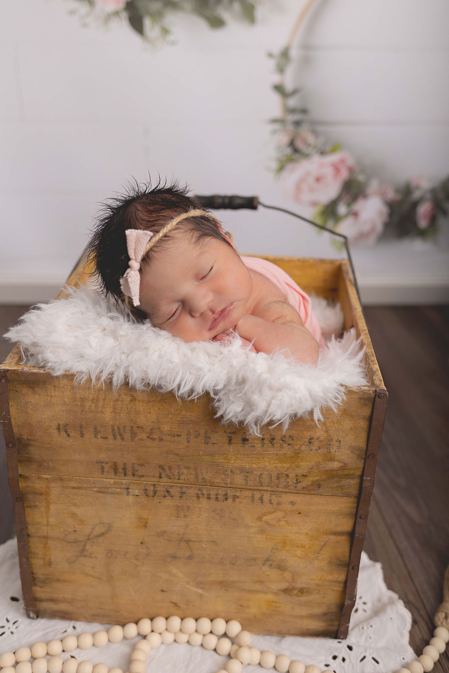 Newborn Pictures Hartland, WI