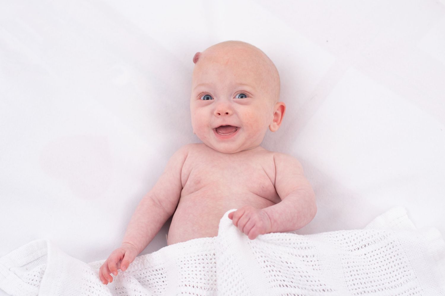 Newborn Photography, Plymouth Studio
