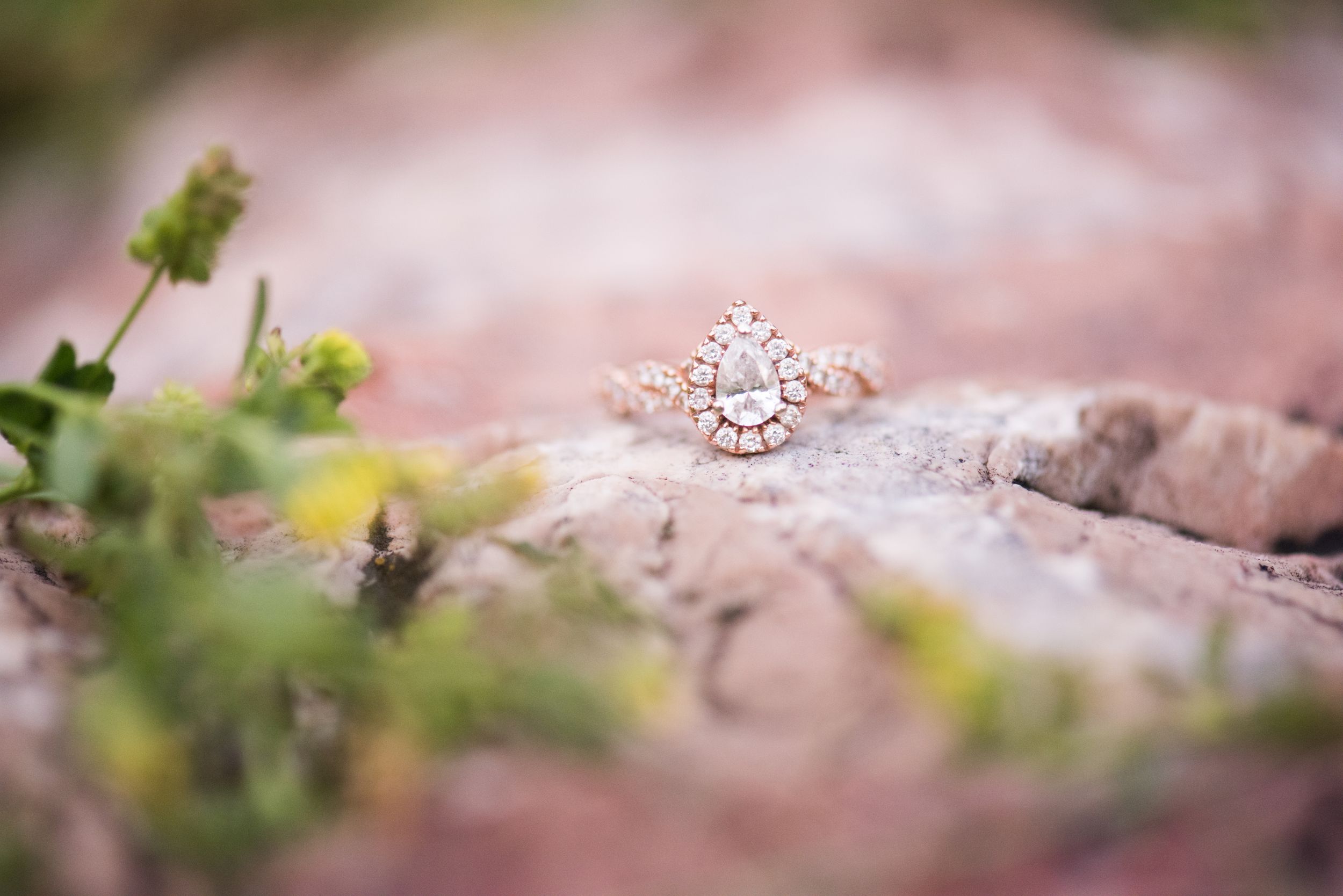Sparkling diamond engagement ring nestled among pink rocks and green plants.