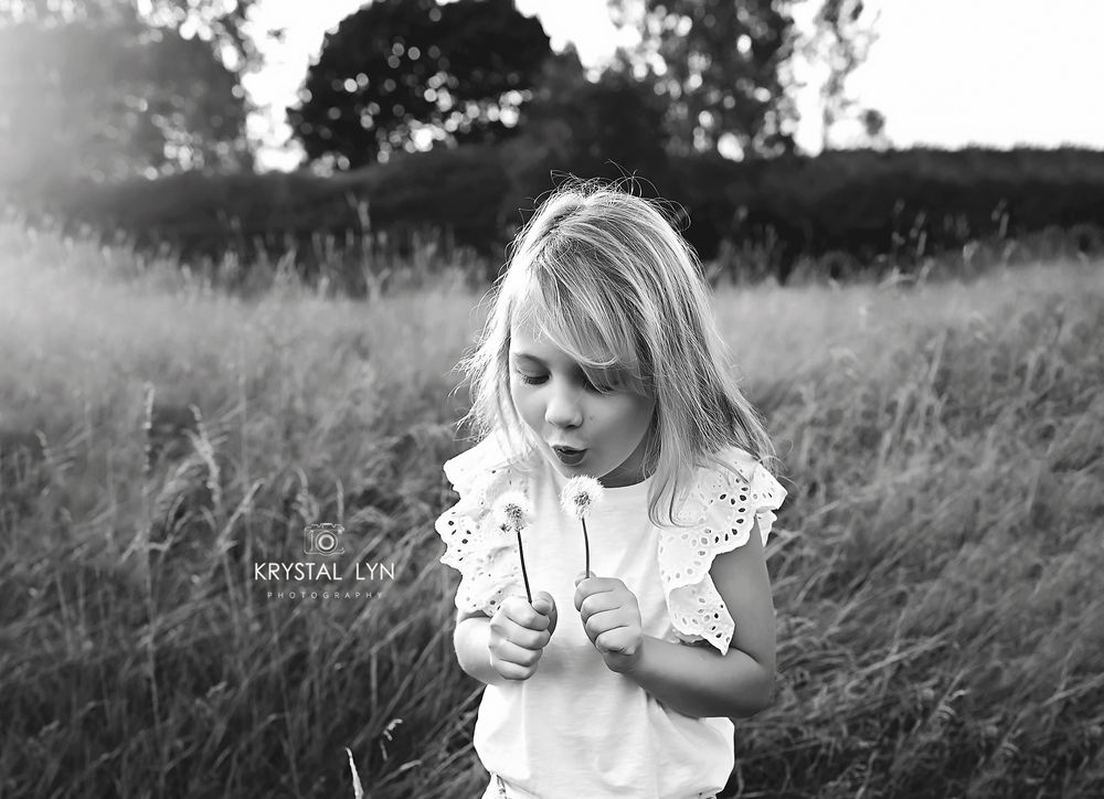 Black and white portrait - blowing dandelions in the long grass