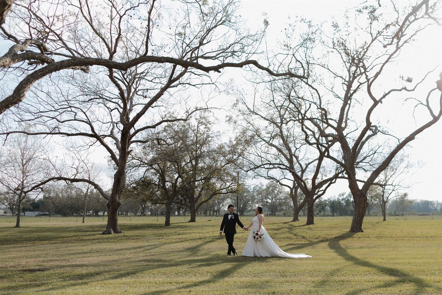 Wedding couple walking through a scenic park with dramatic tree shadows.