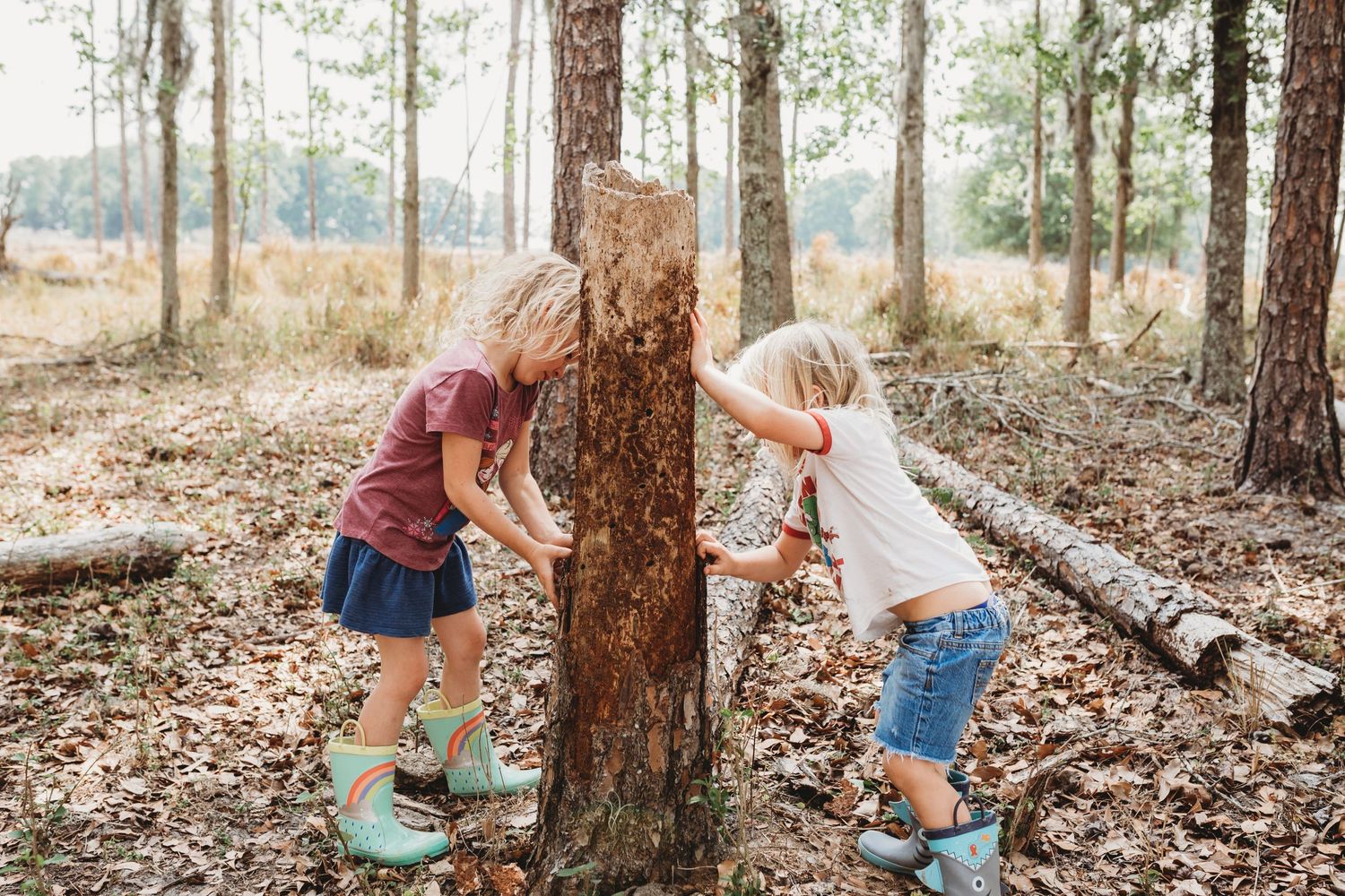 Bartow Photographer- Kids paying outside