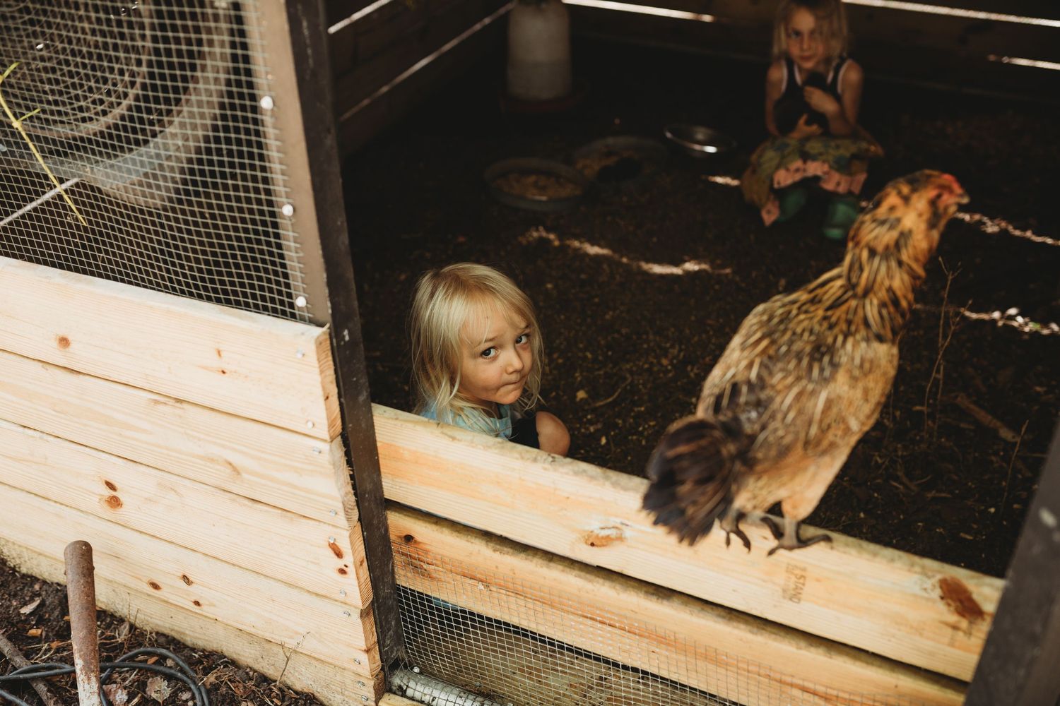 Winter haven photographer- Little boy in a chicken pen