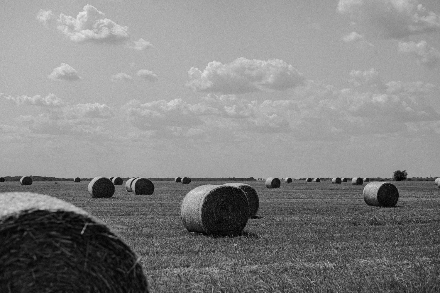 пъуващ сватбен фотофраф, сватбена фотосесия, ритуал, булка, младоженец, влюбени, любов, Русе, традиционна, ритуал снимки