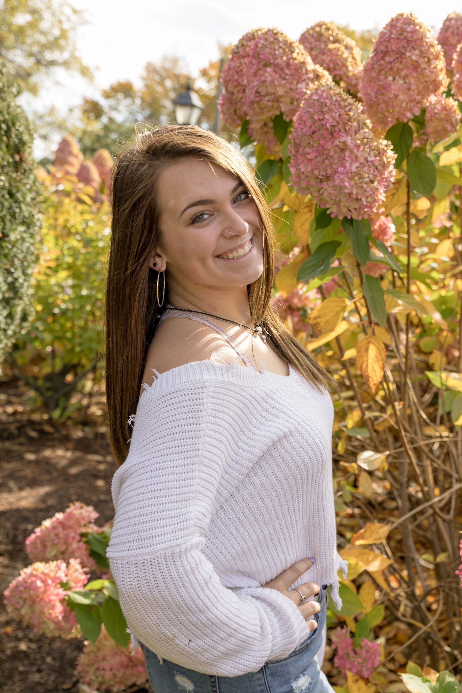 girl in front of a fall hydrangea bush. white sweater blue sky in Gilmanton New Hampshire.