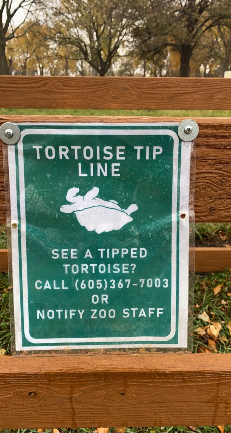 Green zoo sign asking visitors to report tipped tortoises to staff with a hotline number.
