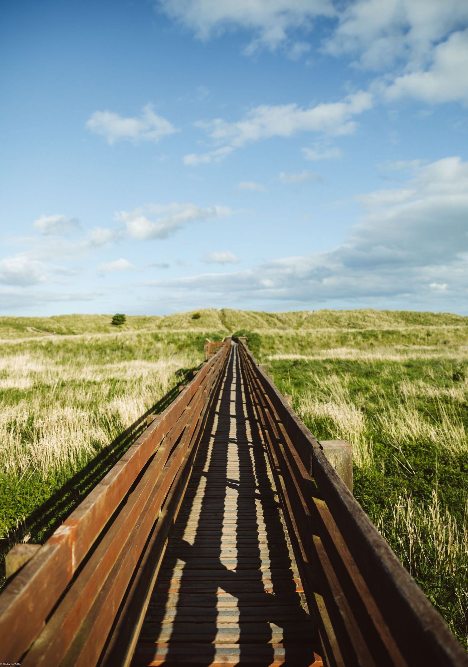 Wooden boardwalk path stretching across grassy dunes under bright blue sky.