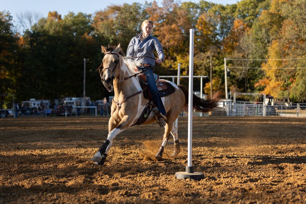 White Squirrel Saddle club member running her horse through a Pole Bending competition.