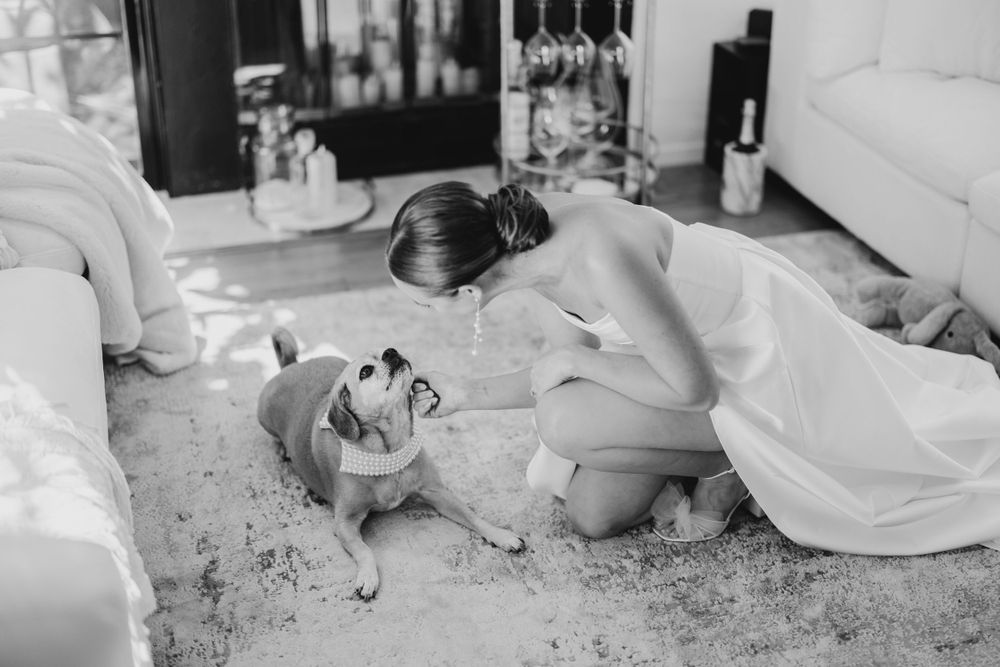 A black and white photo of someone in a wedding dress petting a dog on a patterned rug.