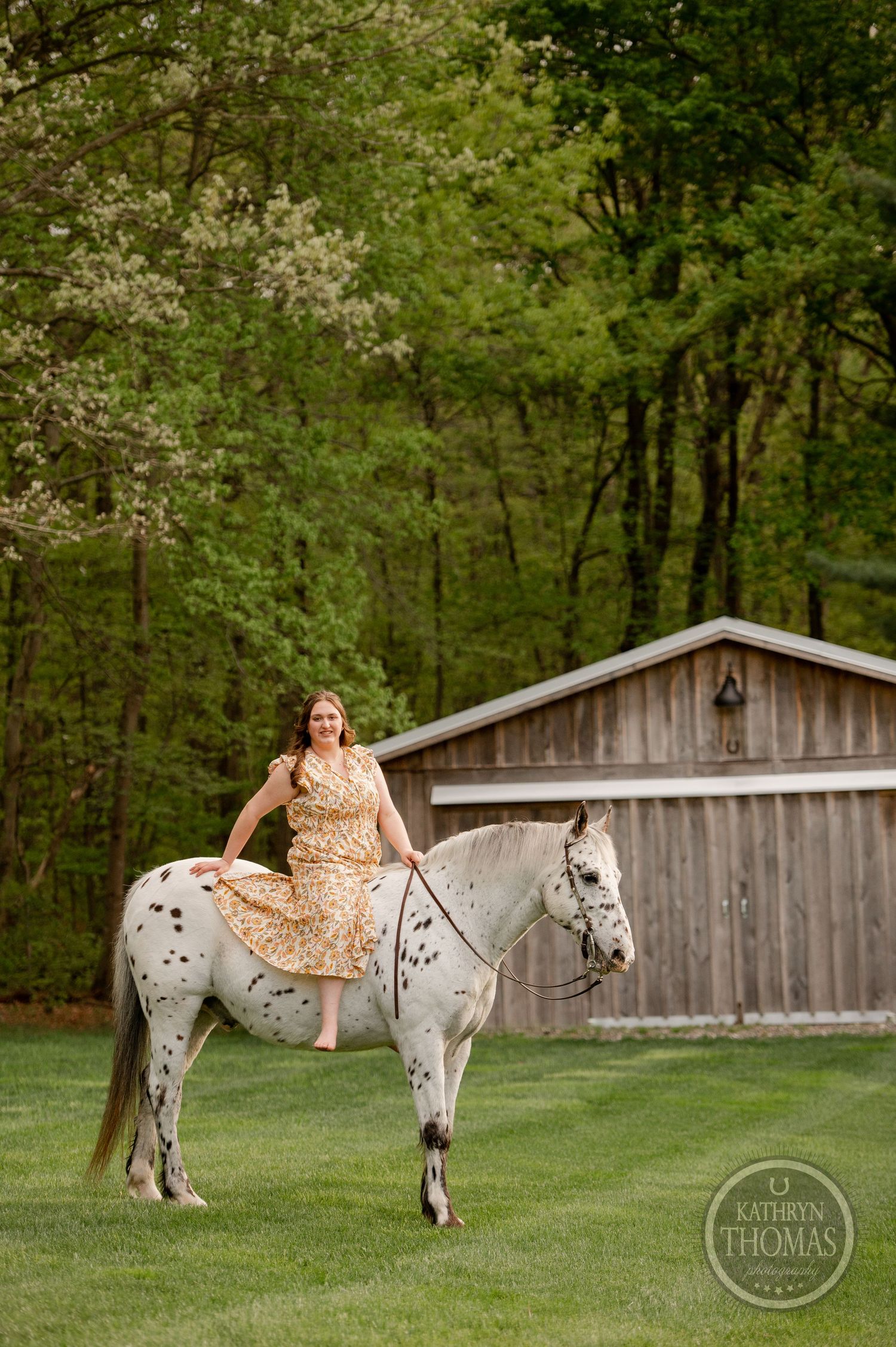 A spotted white horse stands near a rustic wooden barn surrounded by spring trees.