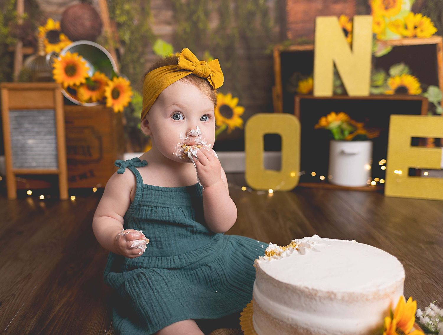 Cakesmash photoshoot Waukesha, Hartland, Oconomowoc, WI