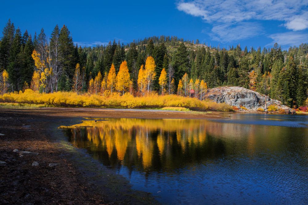 Lakes Basin, CA, Landscape, Graeagle, Art, Wall Art, Fall, Aspens